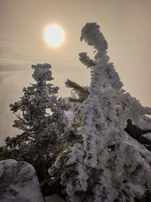 Путешествие в глубину себя photo