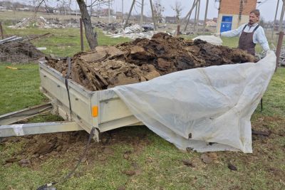 Коровий перегной